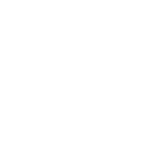 وکیل ملی