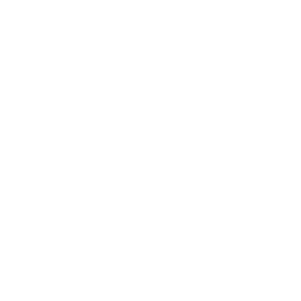 وکیل ملی